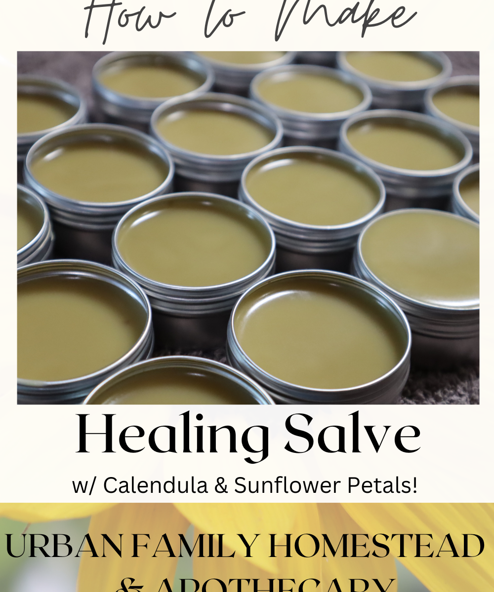 How to make healing salve with calendula and sunflower petals