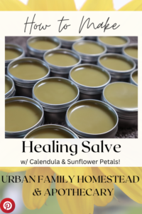 How to make healing salve with calendula and sunflower petals