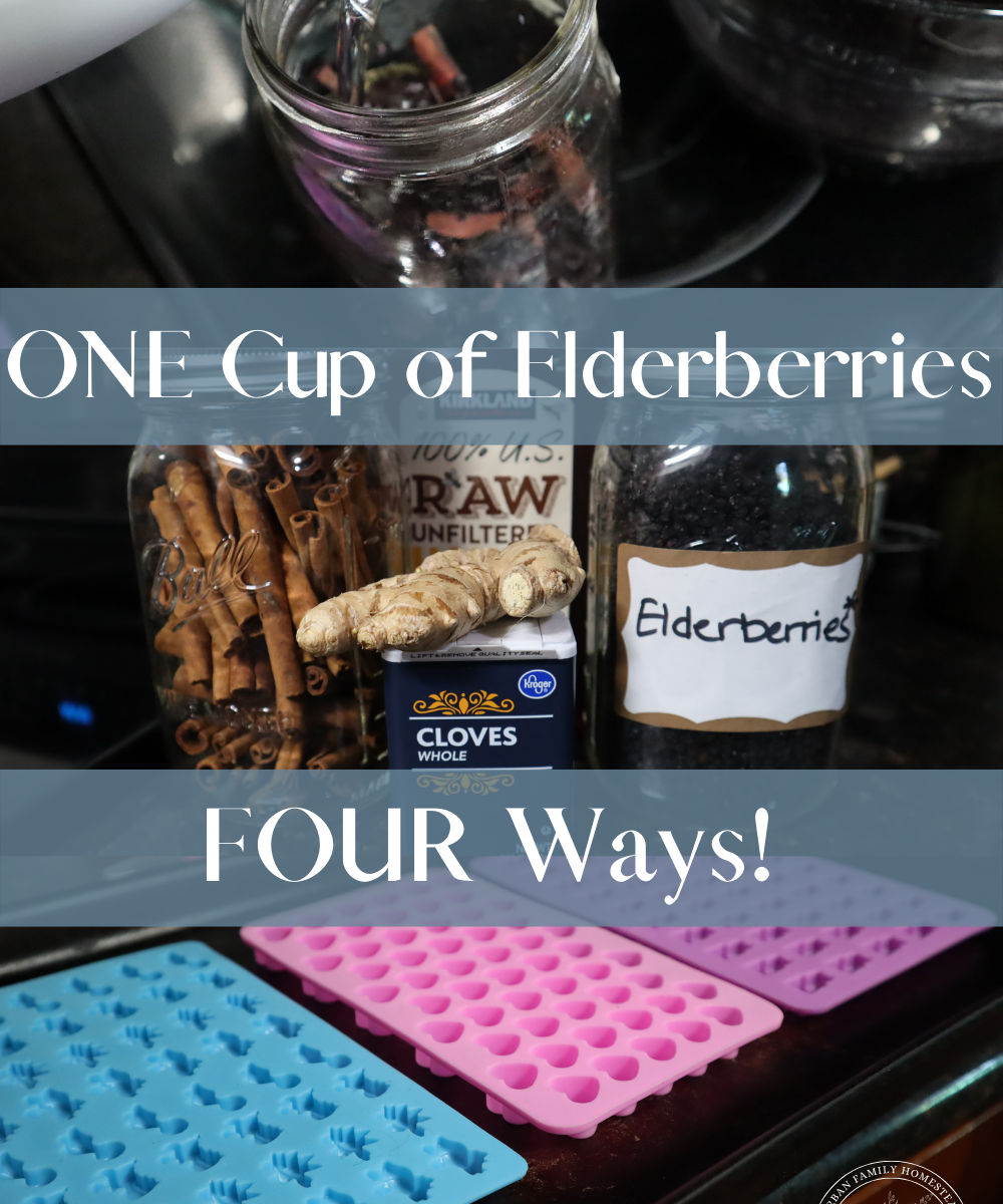 ONE cup of elderberries FOUR ways!