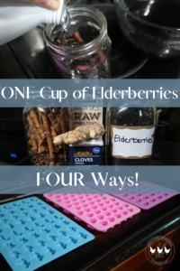 ONE cup of elderberries FOUR ways!