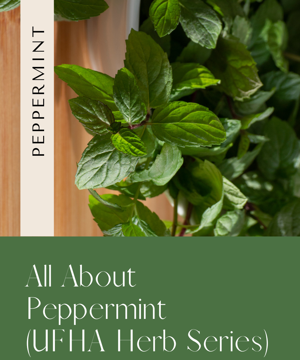 All about peppermint. Urban Family Homestead and Apothecary