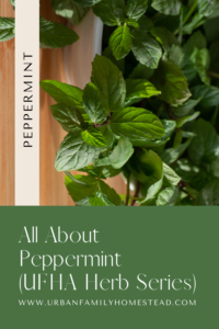 All about peppermint. Urban Family Homestead and Apothecary