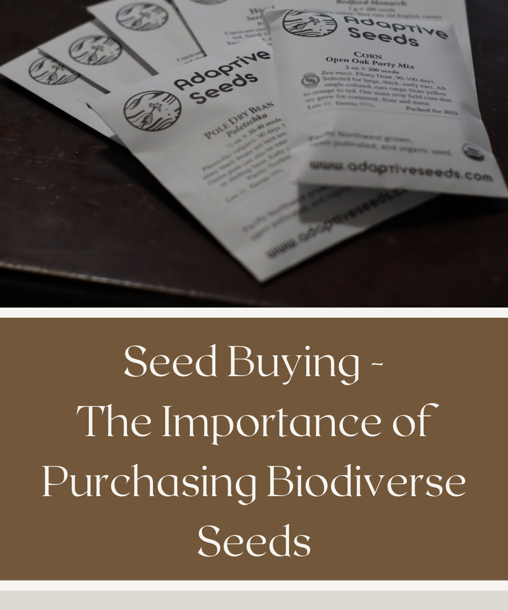 Seed Buying The Importance of Purchasing Biodiverse Seeds