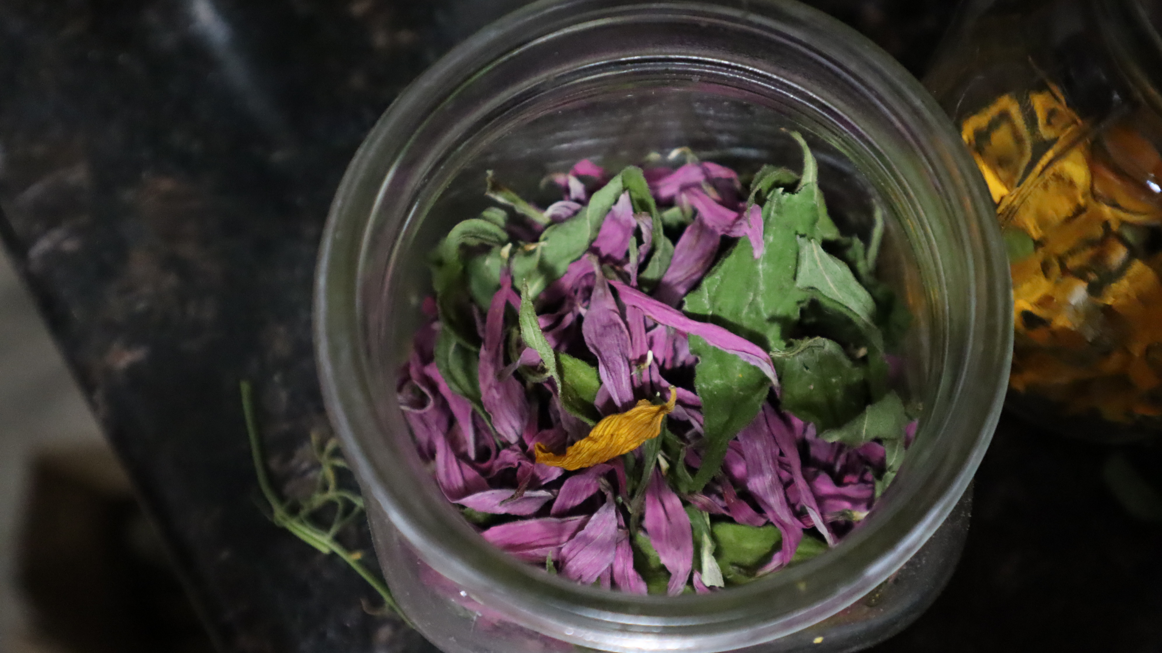 Dried Echinacea Flower Petals and Leaves from Summer 2022 Harvest.