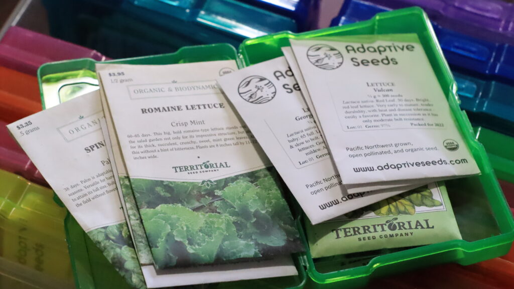 Inside one of the organizers within the case. I am housing my greens in here such as romaine, arugula, kale, butterhead, and red leaf lettuce varieties. 