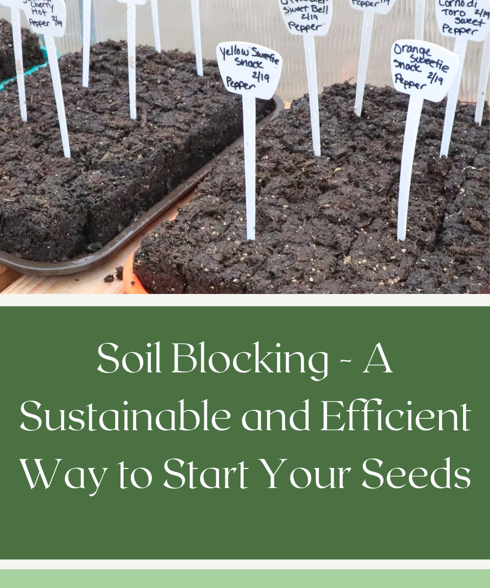 soil blocking a sustainable and efficient way to start your seeds