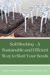 soil blocking a sustainable and efficient way to start your seeds