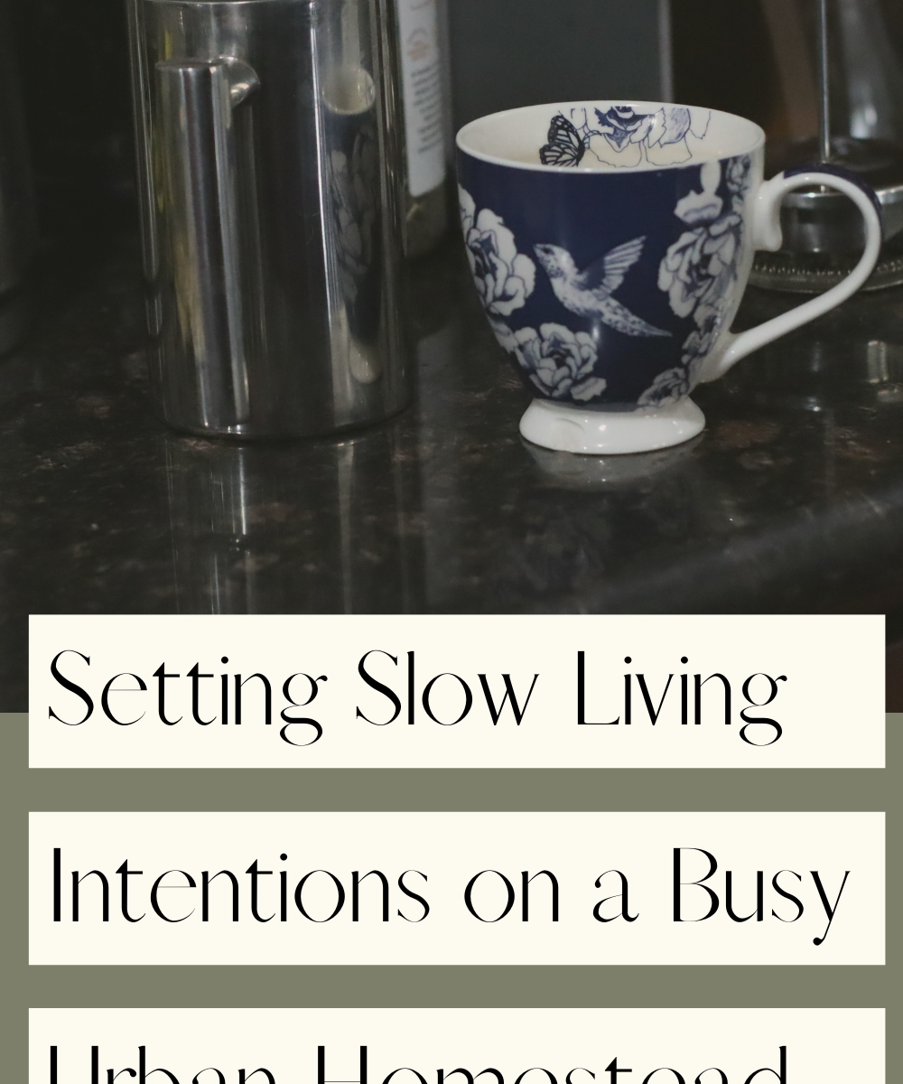 setting slow living intentions on a busy urban homestead