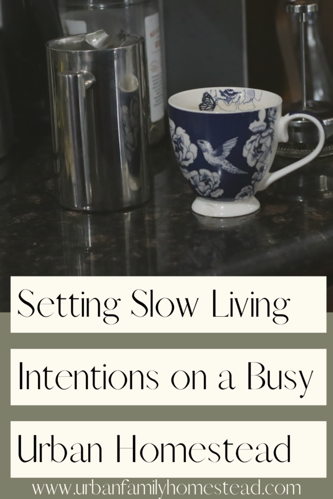 setting slow living intentions on a busy urban homestead